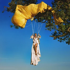 Vie album cover (HD)
