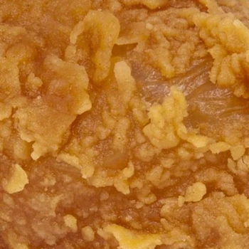 DINDU NUFFIN | Doja Cat Wiki | Fandom