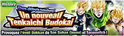 StoryTenkaichiBudokaipetit