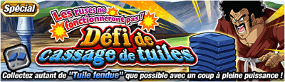 Specialcassagetuiles