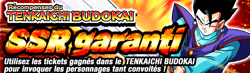 Les invocations du Tenkaichi Budokai