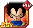 Vegetassrpui2
