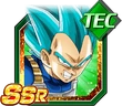 Vegetassbssrtec2