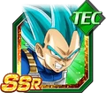Vegetassbssrtec2