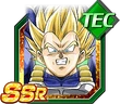 Vegetassj2ssrtec
