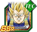 Vegetassj2ssrtec