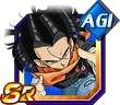 C17sragi