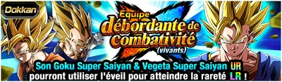 Supervegettodokkanevent2