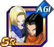 C17c18sragi
