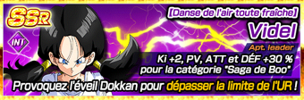 CharastoryGohanVidel1