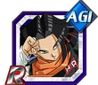 C17ragi