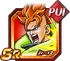 C16srpui