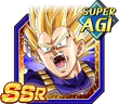 Vegetassj2ssragi2
