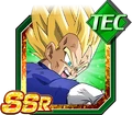 Vegetassjssrtec2