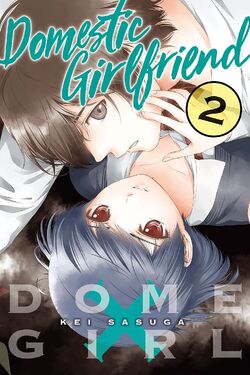 Manga Domestic na Kanojo  Manga love, Manga romance, Manga