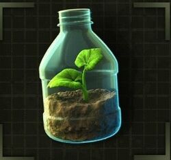 Bioplastic