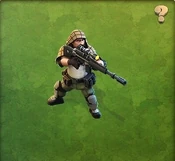 Captain's Rifleman II.jpg (23 KB) Captain's Rifleman II