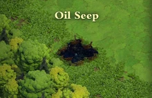Oil Seep