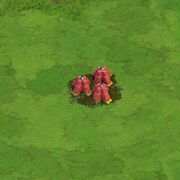 Barbed wire lvl13.jpg (97 KB) Barbed Wire Level 13