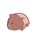 Baby Pupu