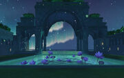 Star Light Garden