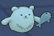 Polar Bear