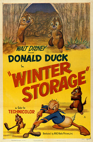 D winter storage poster