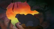 Secret-of-nimh-disneyscreencaps com-929