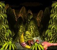 Master Necky after being defeated as seen in the game Donkey Kong Country for SNES.