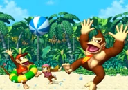 DK, Diddy and Dixie playing with a beach ball.