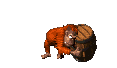 Donkey Kong Country