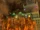 King of Rot Arena