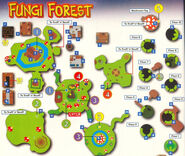 Fungi forest map