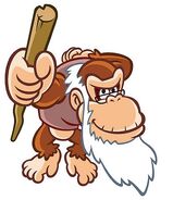 Cranky Kong's artwork.