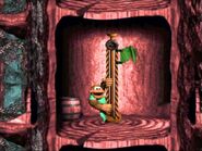 Kiddy raises a green Level Flag in Springin' Spiders.