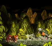 The beginning of the boss battle against Very Gnawty, as seen in the game Donkey Kong Country for SFC/SNES.