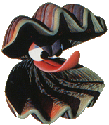 Donkey Kong Country