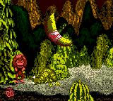 A Giant Banana rewarded after defeating Very Gnawty in Donkey Kong Country for Game Boy Color.