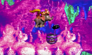 Donkey Kong Country 3: Dixie Kong's Double Trouble! (GBA)