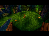 One of Diddy's Golden Bananas on the top of a giant tree.