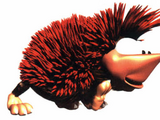 Bristles
