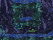 Enguarde's Segment