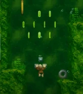 The DK Coin in the fifth section.