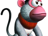 Kong
