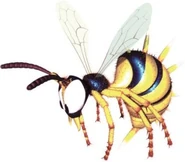 33334444.jpg (21 kB) Zinger