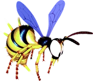 King zing.png (649 kB) King Zing