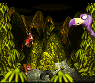 Donkey and Diddy Kong battling Master Necky Snr.