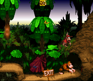 RopeyRampageEnd.png (24 KB) Donkey and Diddy at the end of Ropey Rampage, when it is no longer night and stormy.