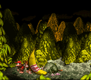 The Giant Banana dropping down after Very Gnawty being defeated, as seen in the game Donkey Kong Country for SFC/SNES.