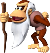 Cranky Kong's artwork.